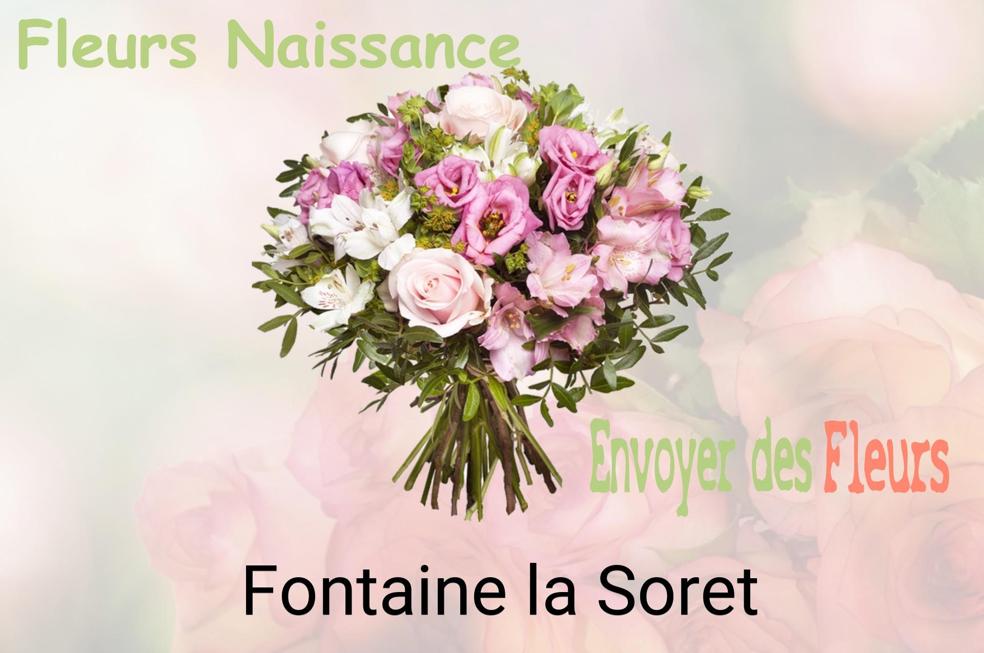 Bouquet de fleurs de naissance livré à Fontaine-la-Soret